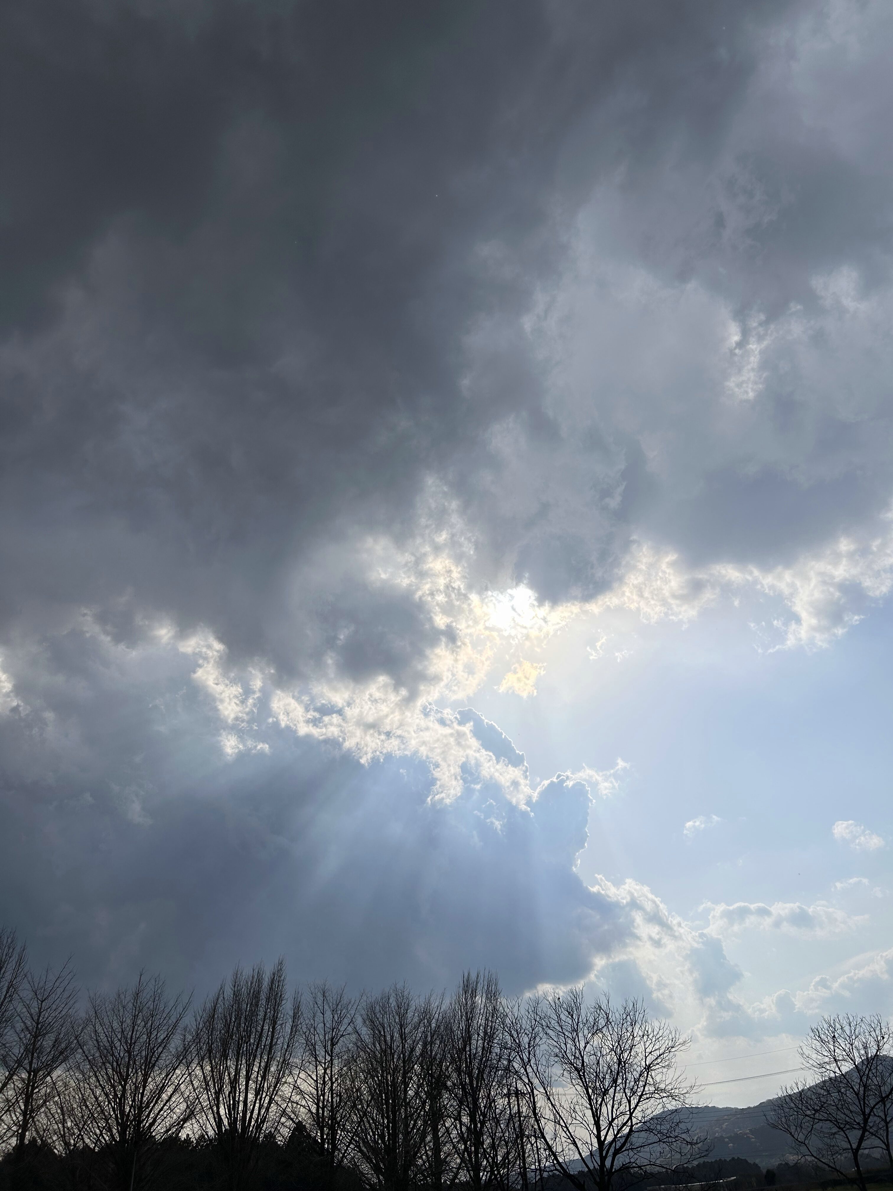 天使のはしご・薄明光線 の写真