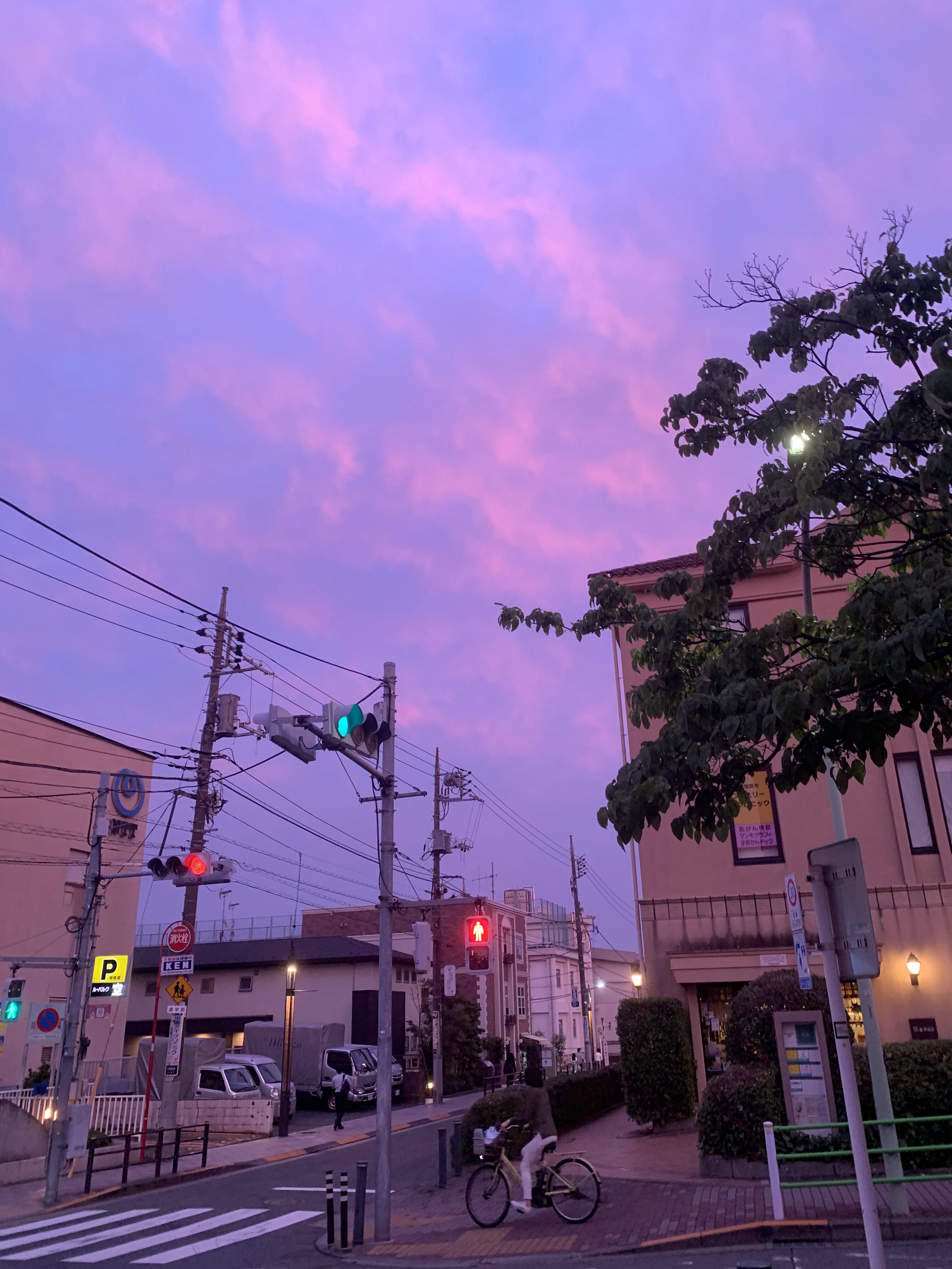 珍しい紫色の夕焼けの写真